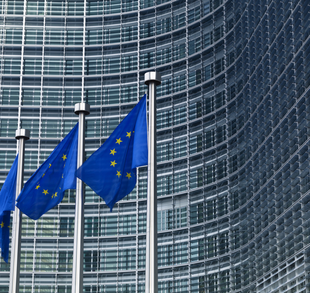 EU flags outside a large building