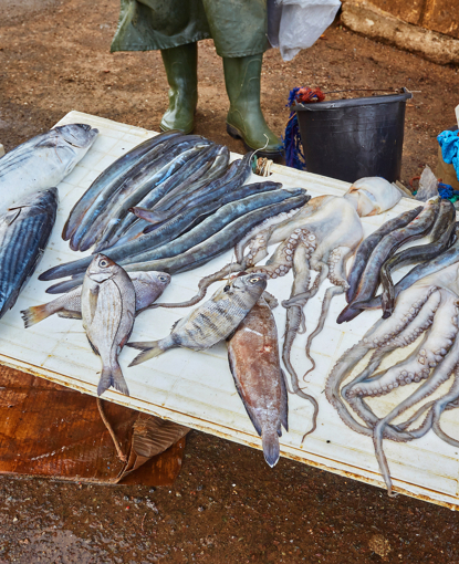 Seafood from Atlantic ocean in Moroccan market